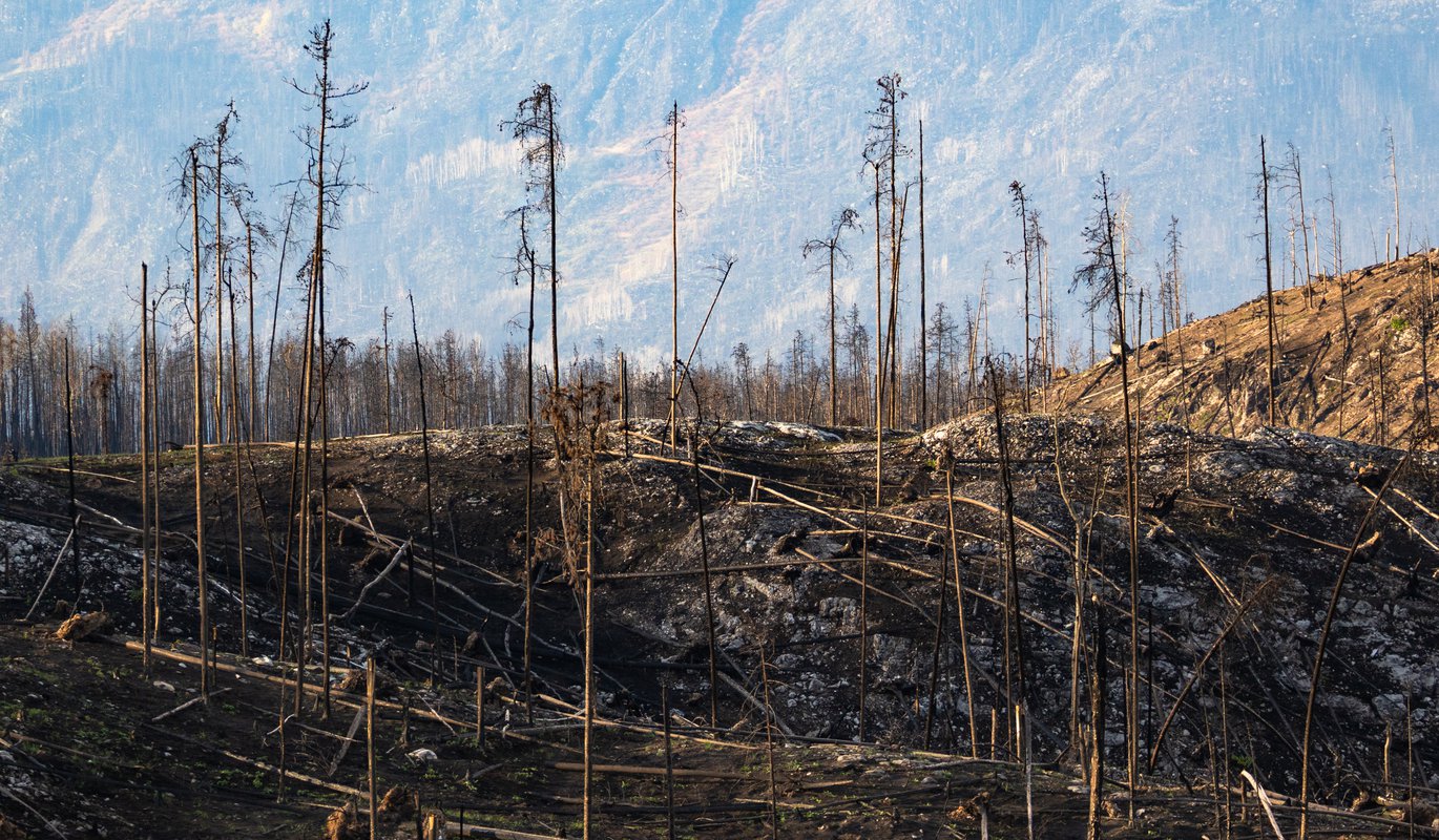 A Story of Fire - Small Group Photo Tour | Tourism Jasper