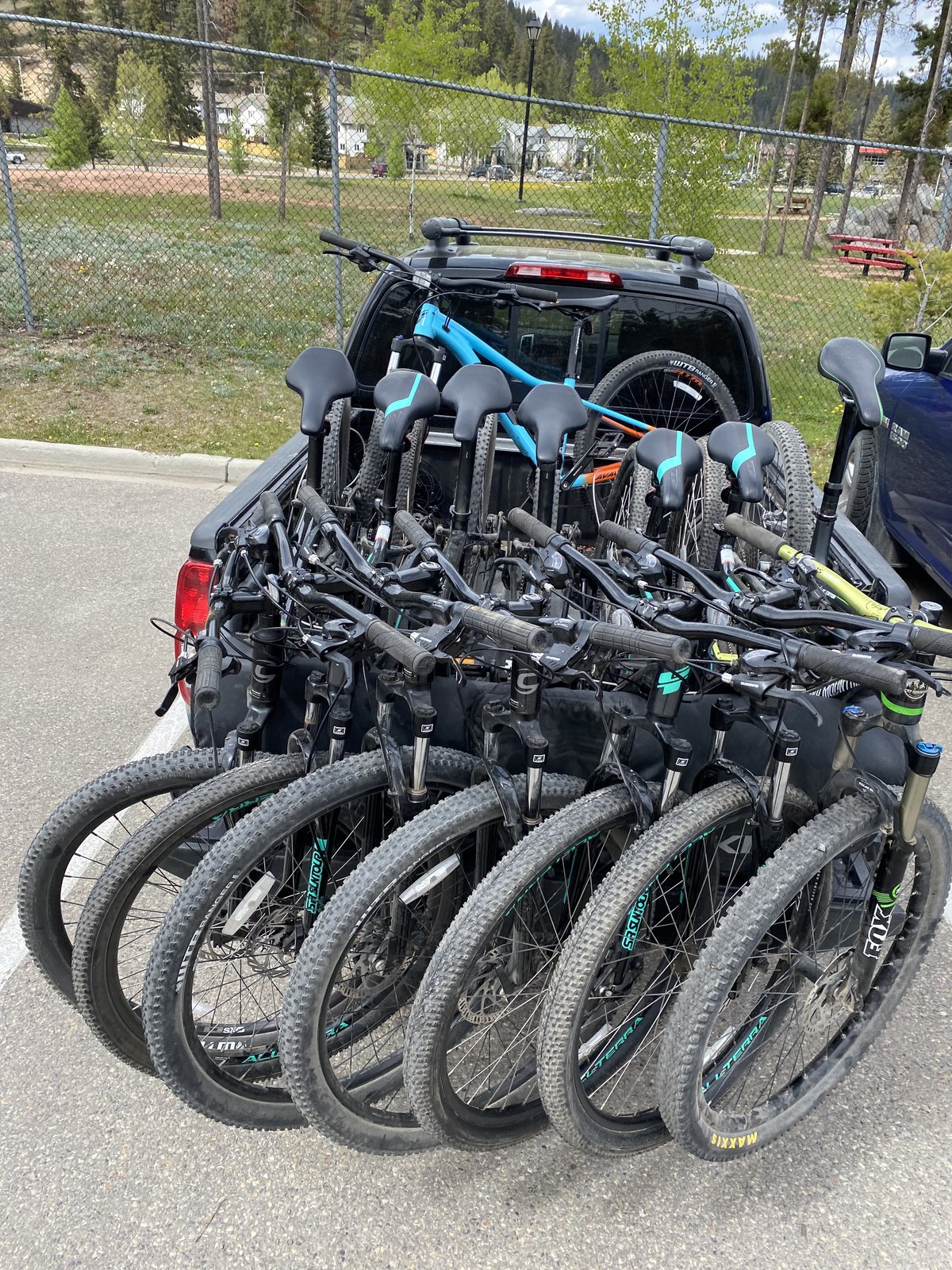 fat bike rental