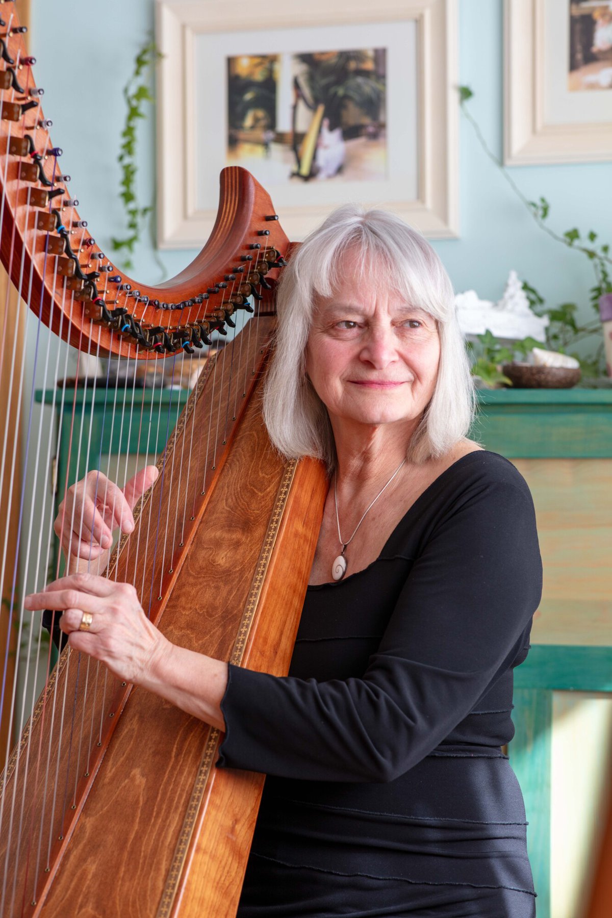 Harpist Marilyn Bulgar at Winemakers Dinner.jpg