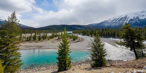 Spring-large.jpg Spring-large.jpg