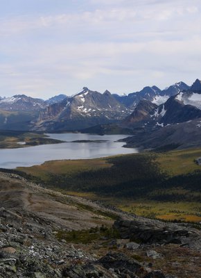 Tonquin