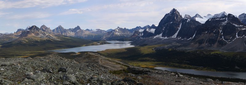 Tonquin