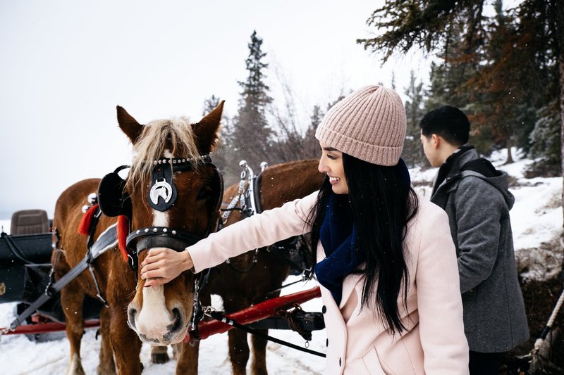 Lovely Weather for a Sleigh Ride With You Cozy Crew – Saddle Up Clothing  Company