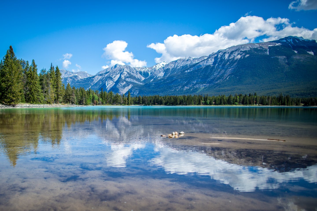 Top 3 Beaches in Jasper National Park | Tourism Jasper