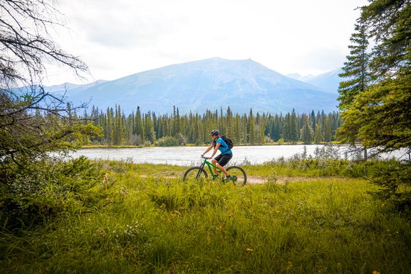 Guided Mountain Bike Tour (Half-day) | Tourism Jasper